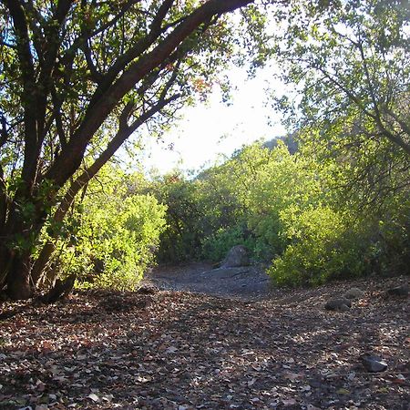 Las Lomitas De Guayacan, Cabanas Y Spa San José de Maipo Dış mekan fotoğraf