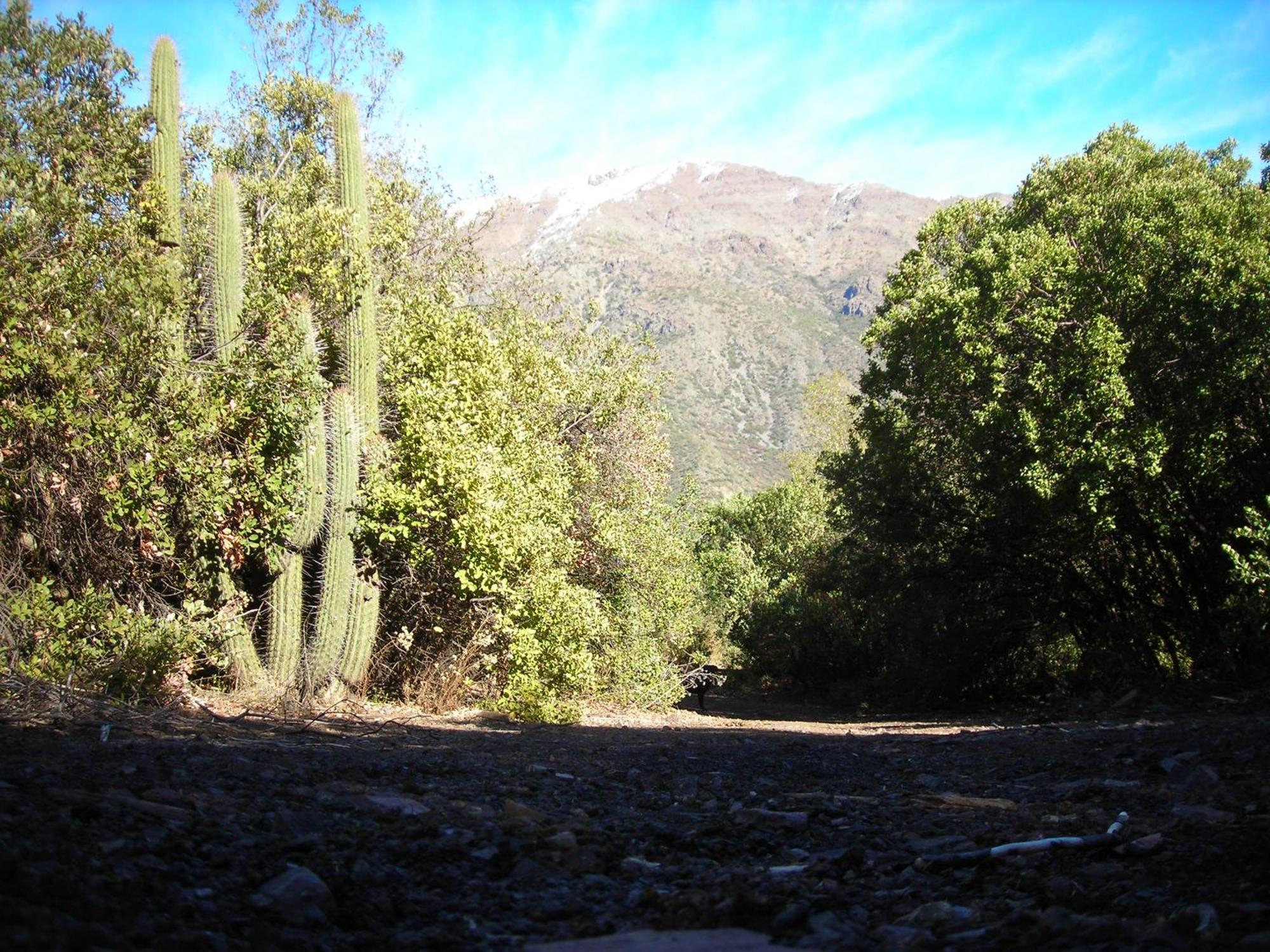 Las Lomitas De Guayacan, Cabanas Y Spa San José de Maipo Dış mekan fotoğraf